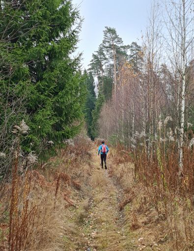 Красноармейск – Воря-Богородское.