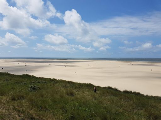 Texel