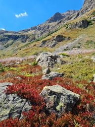 Bivouac Muzelle J2 lacs lauvitel vianney