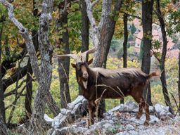 Tour des ouvrages militaires près de Ste Agnès