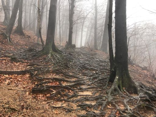 Redde city... 😀🚵‍♂️