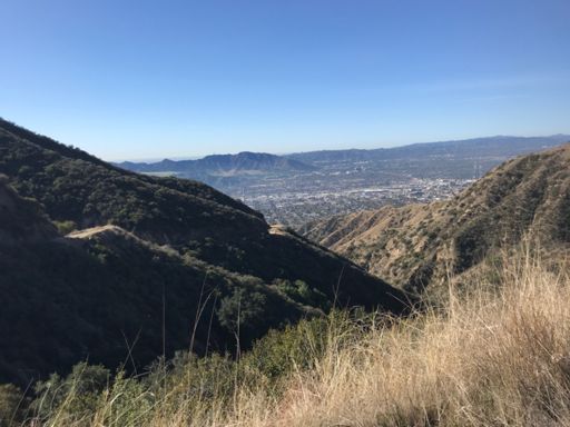 34x40 would’ve been ideal. Had to make do with a 34x32