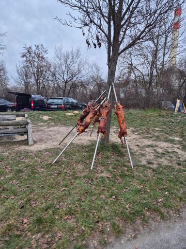 After 3,5 hours low carb, I was close to swap my bike for one of those :D 