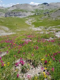 Lac de Lignin en VTT