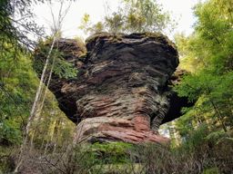 Crapahutage recherche infructueuse des têtes de lajus