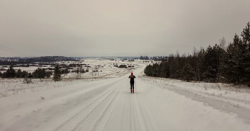 Дорога Никольское - Дубровицы.
