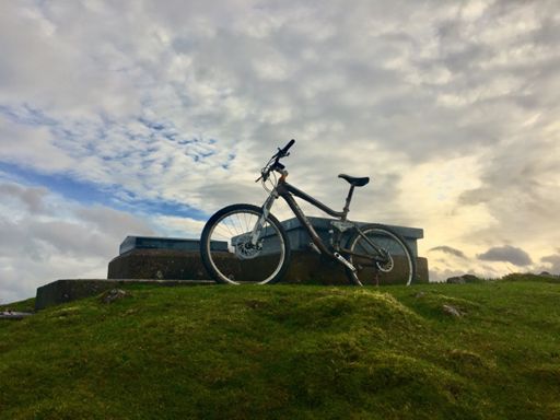 Face to face with the thingy