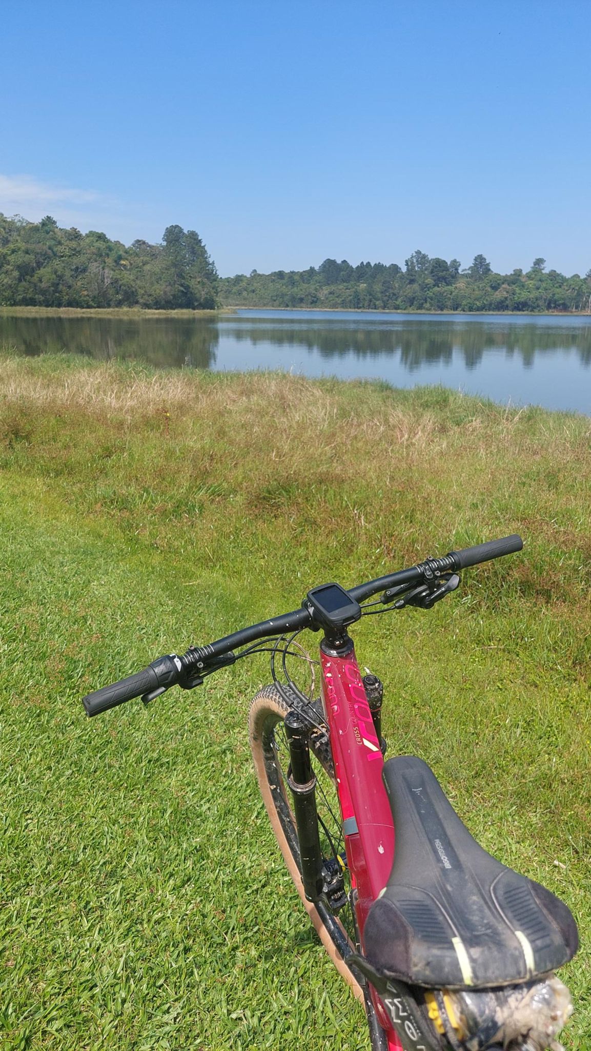 Rafael D'Andrade 🚴 Strava Cyclist Profile