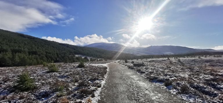 route-highlight