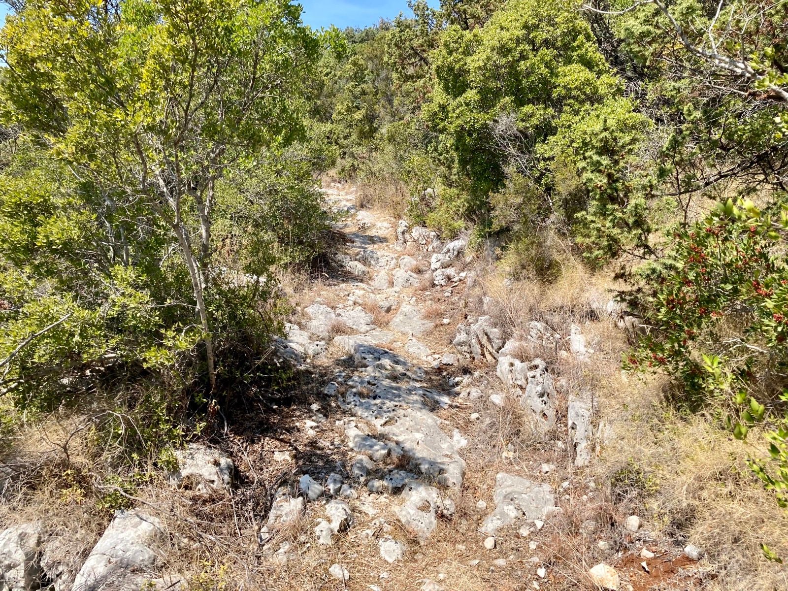 Ride Image 4