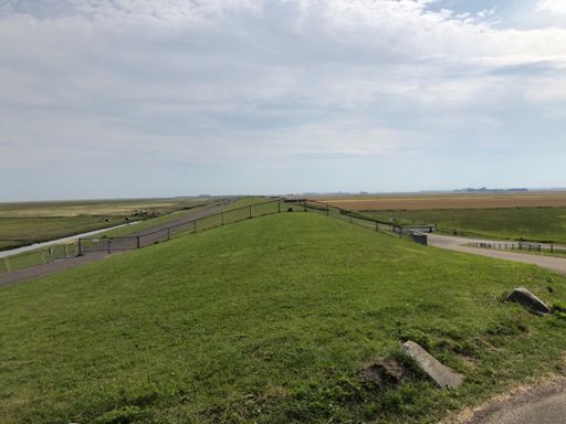 Route langs kuddes schapen. Af en toe een noodstop voor overstekende wolfabriek