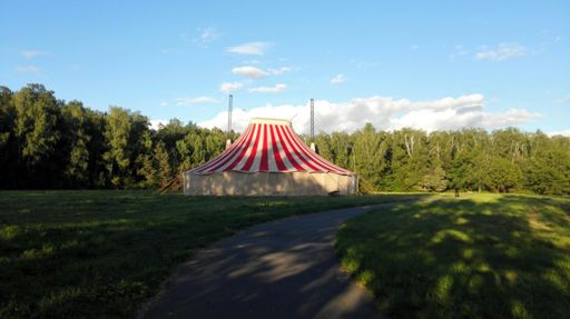 Цирк приехал :-)