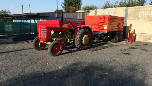 Krasavec v Sulicích.