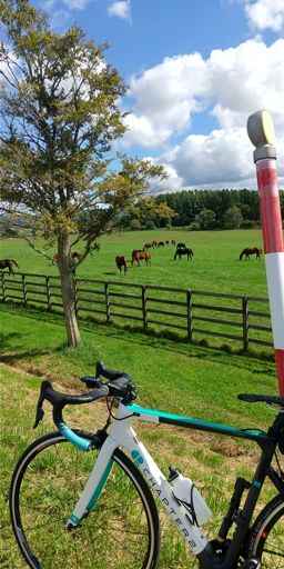 社台牧場（千歳）
