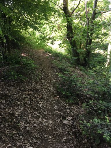 Petit single super sympa