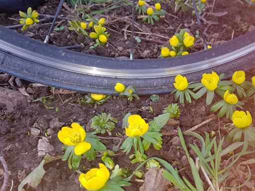 Es wird wieder . . .