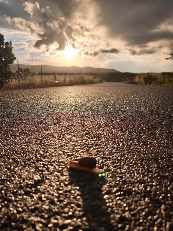 Paseo de tarde