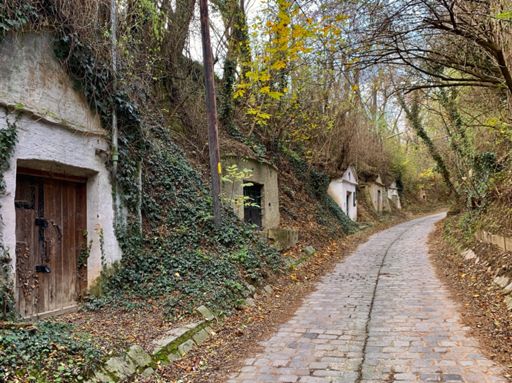 Weinkeller in der Kellergasse