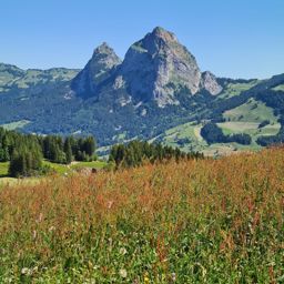 Fronalpstock