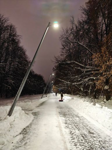 Зимний канал, все деревья в снегу