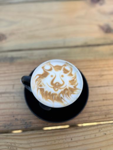 Lion of Zion👊🏻💪🏻