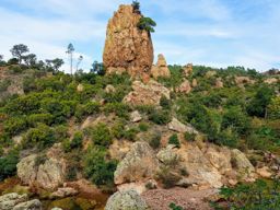 Balade dans l’Esterel