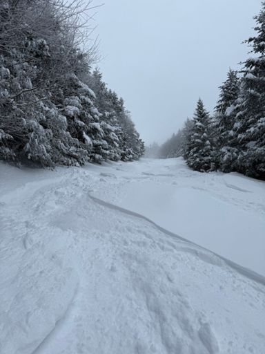 Middle Earth was sublime. Best run of the year so far.