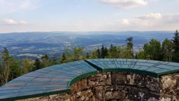 Sapin sec et les Molières