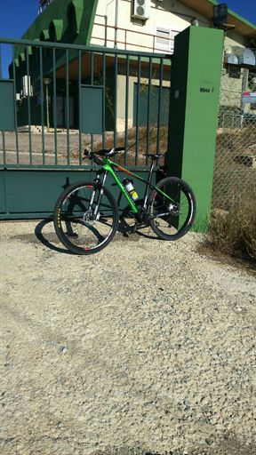 Team megamo factory carbono!