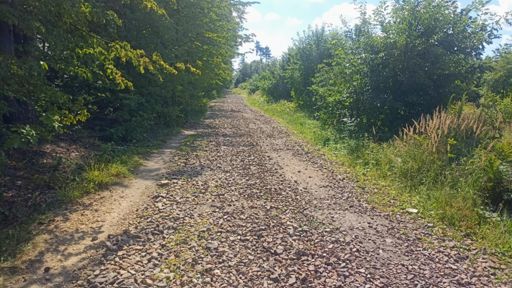 Kto mi tu tuczniem wysypał 🤦🏻