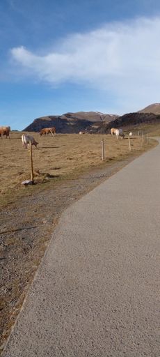 Pla d'en Plata, Serra Cavallera 😊🍯
