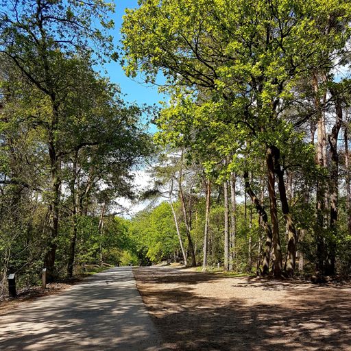 Mooi doorkijkje in de Loonse en Drunense duinen