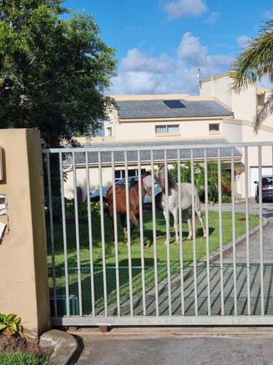 2 hourse power in the drive