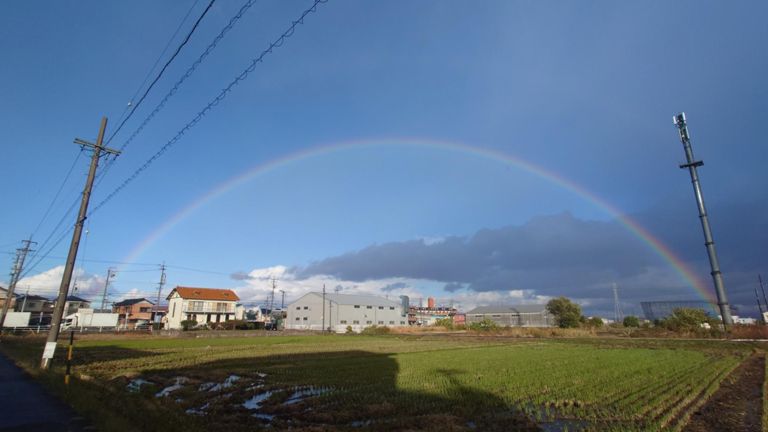 雨上がりの虹🌈
