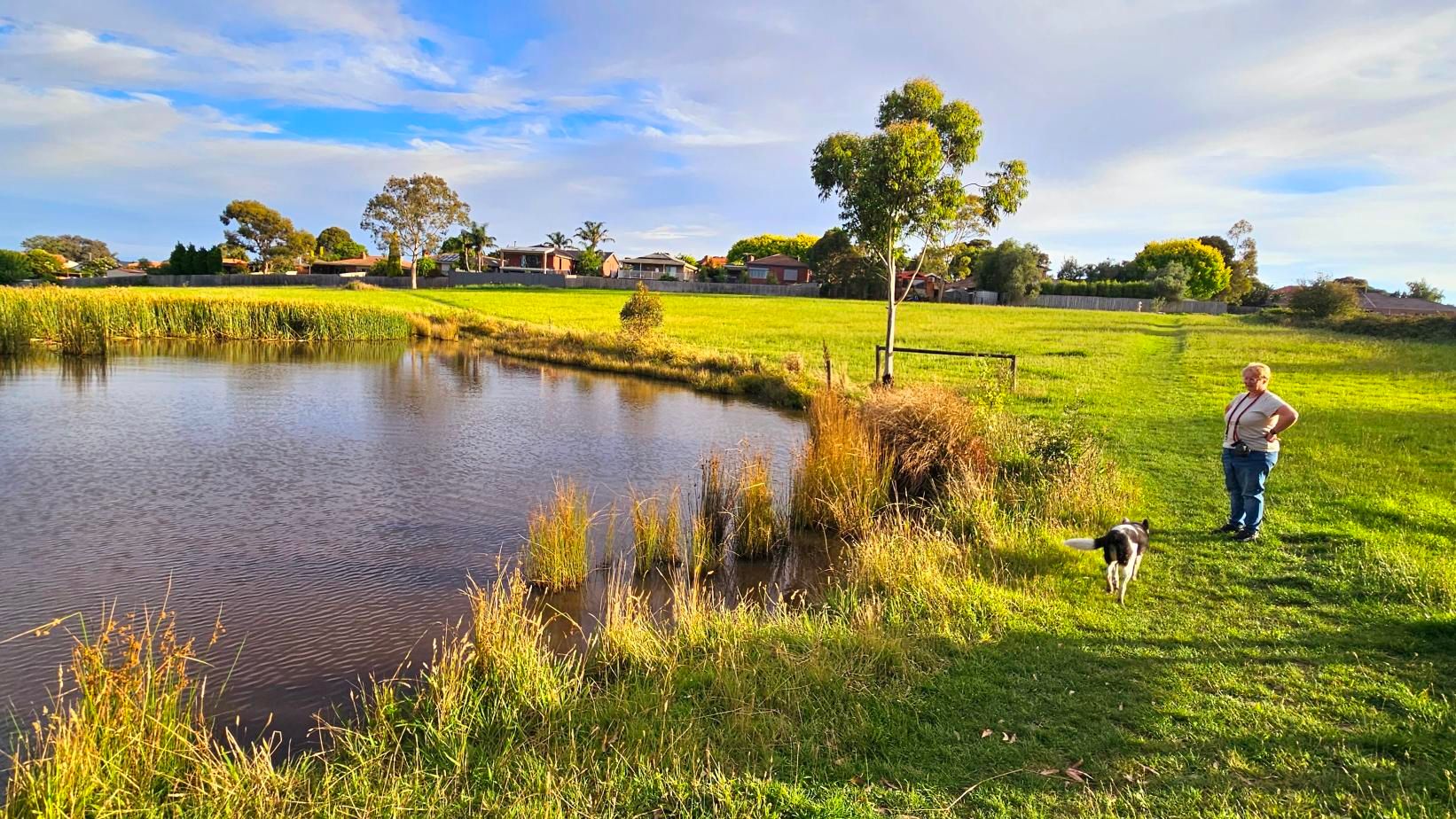 Strava Walk Activity