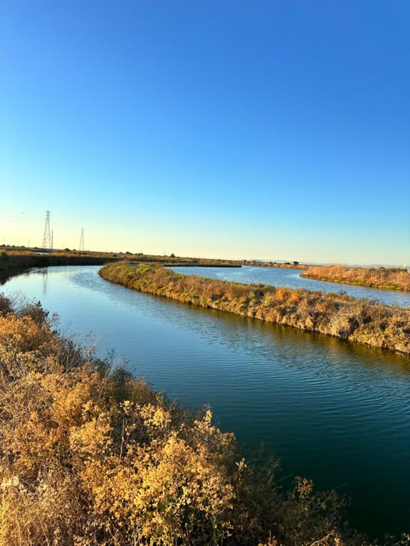 San Francisco Bay Trail Sunnyvale to Sand Point 9.9 mi Trail Running