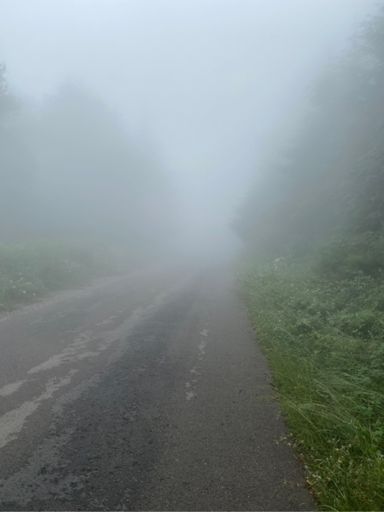 Mas oscuro que la boca del lobo