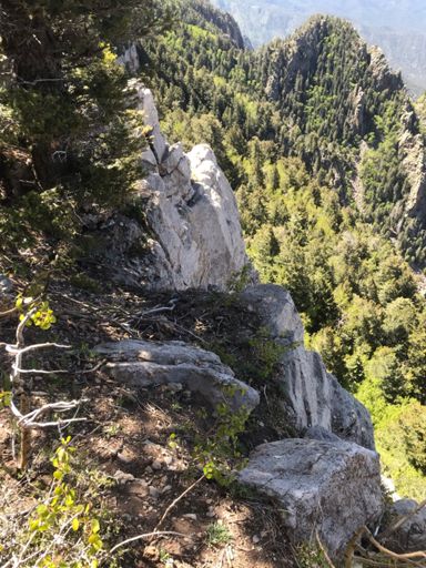 Top of the band of rock you can see when looking at the mountains. It's a big drop, but I didn't get close enough for the picture to capture that.