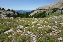 Lac de Lignin en VTT