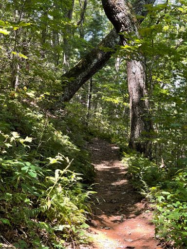 Climbing up Fort Mountain on the Pinhoti