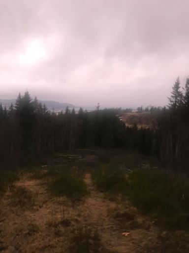 Det er mye vind på toppen.