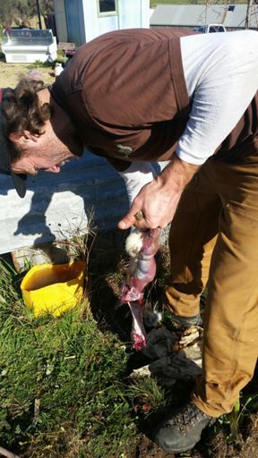 Post ride recovery protein