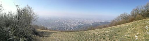 www.strava.com