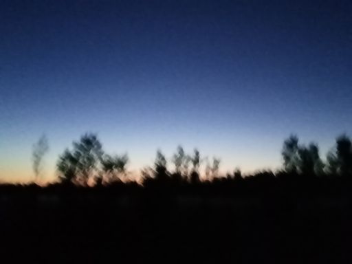 Редко видела рассветы, буквально считанные по пальцам одной руки