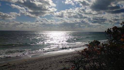 Juno Beach looking South