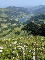 Crêtes au dessus du Schwarzsee : Fochsenflue et Chörblispitz