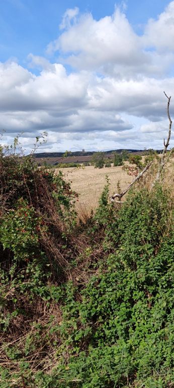 Smailholm Tower from the un-named road to East Dalcove, after turning left from Millfield.