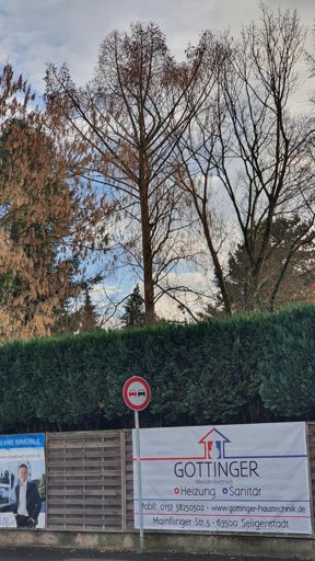 Seligenstadt_ID24197_UM_Raabestr. 7