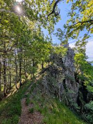 Crapahutage matinal dans les hautes vosges