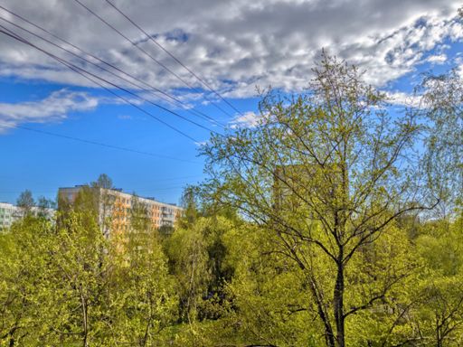 вид на моё болотце